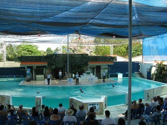 Samui Aquarium & Tiger Zoo